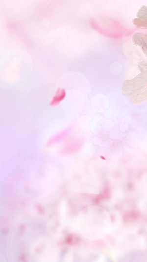 唯美樱花樱花树20秒视频