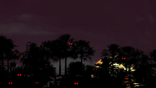 夜空中的圣月血月背影棕榈树和灵魂在鬼灵主题公园神秘视频