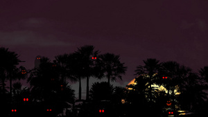 夜空中的圣月血月背影棕榈树和灵魂在鬼灵主题公园神秘20秒视频