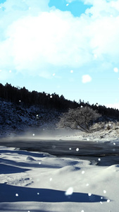 唯美的大自然雪景背景视频素材冬季雪景视频