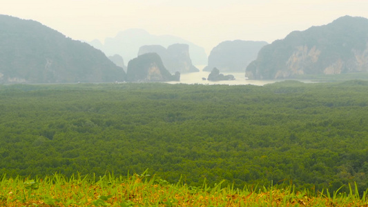 种植油棕榈树的种植园见于以上热带地貌视频