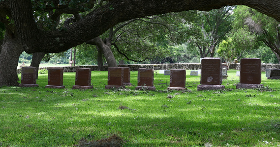 bJohnson家庭公墓视频