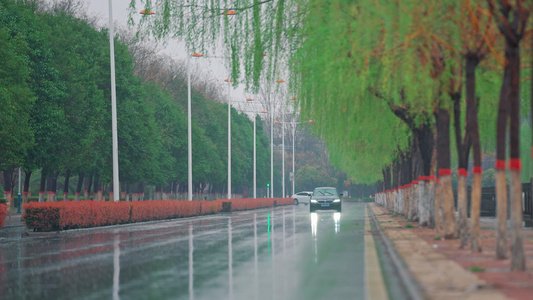 下雨的街道视频