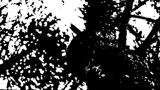 树的深色圆影卡通风格的黑白纸片视频
