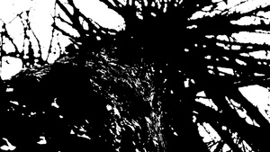 树的深色圆影卡通风格的黑白纸片16秒视频