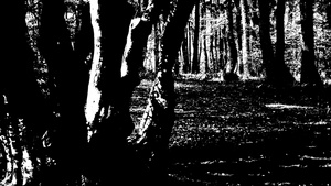树的深色圆影卡通风格的黑白纸片22秒视频