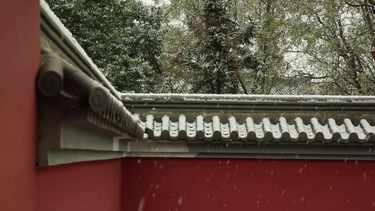 冬天里的一场雪 雪中的古建筑  一人走在雪地里视频