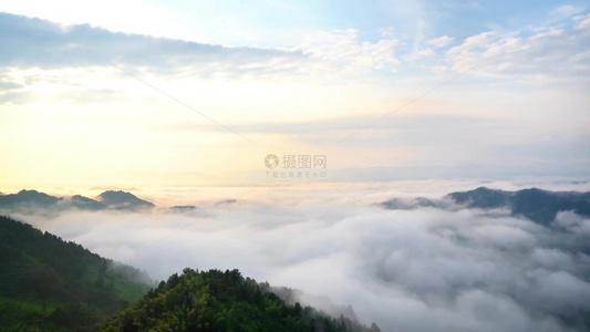 荷叶莲子夏季植物微风吹拂安静和谐风景视频