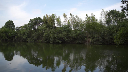 杭州西溪国家湿地公园梅竹山庄景点4K视频视频