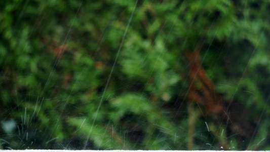 雨滴的缝补视频