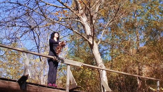 快乐的女人从木桥上扔落的叶子慢动作视频