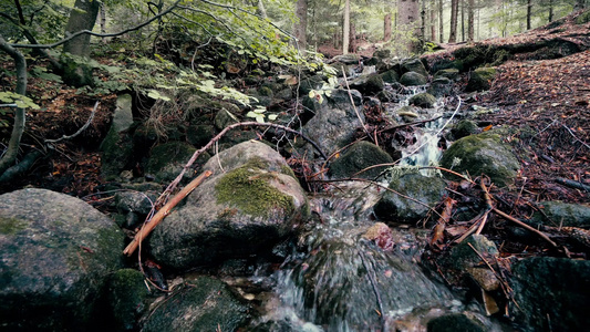 秋秋山岩川流于松树中的山岩流视频