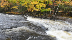 河岸边多彩的秋天森林21秒视频