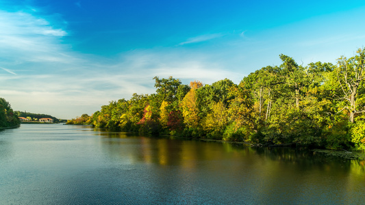 秋季森林和湖泊4公里时折过全景视频