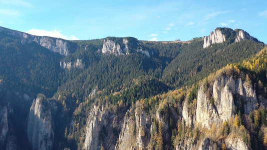 秋秋秋秋秋天的森林风景岩石山中的烧绿树和长青林视频