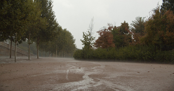 秋天下雨的时候在公园的秋天视频