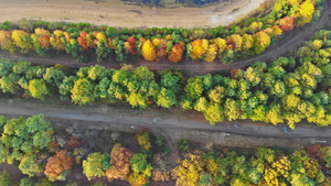 秋天黄树林高处环绕的一条公路空中视线27秒视频