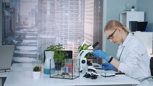 在化学实验室与显微镜合作的实验室大衣中的精明女科学家23秒视频