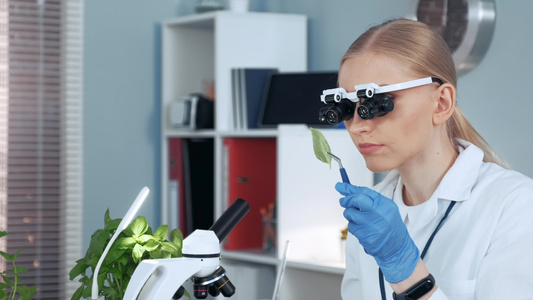 女性化学研究女科学家在放大镜眼镜中密切接触以观察样本视频