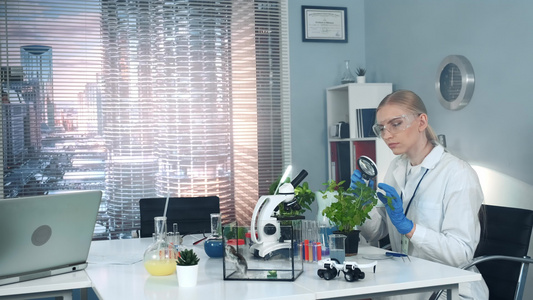 安全眼镜研究科学家在放大镜下学习植物叶子结构视频