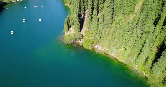 Kolsay湖在绿色的山丘和青山之间视频
