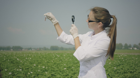 女性生物学家检查害虫视频