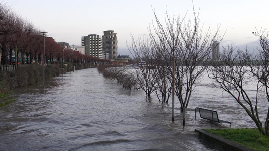 淡水河古龙水德国河的洪泛视频