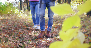 年轻夫妇在自然的树林中行走在秋天公园11秒视频