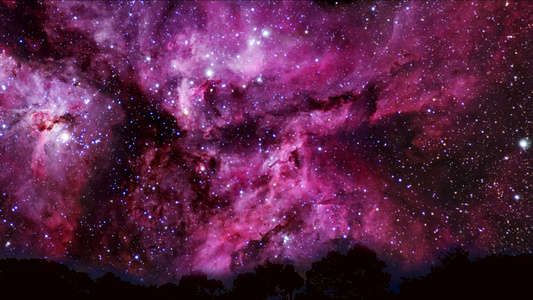 黄紫色星系在夜空时间失效时移动通过树顶视频