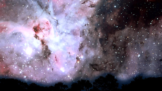 夜晚天空时间失效时星系的多彩色移动过顶端树视频