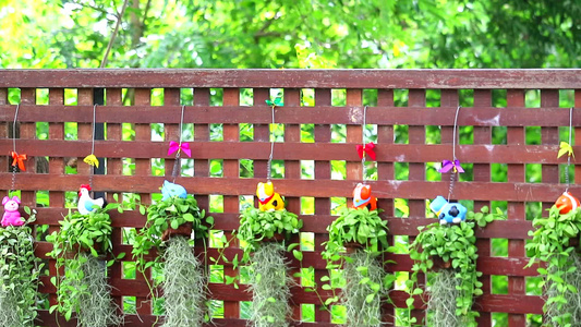 木栅栏和动物盆花和装饰挂在花园里的植物视频