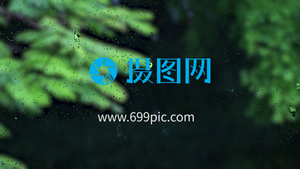 中国风下雨荷花池端午节展示AEcs6模板14秒视频