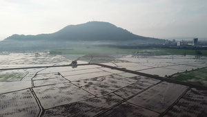 稻田用水浇灌农田播种大米14秒视频