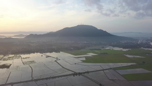 水季期间对水稻田的空中观察14秒视频