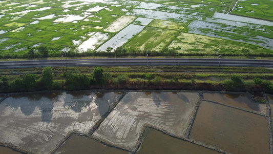 由稻田环绕的铁路上空中滑行视频