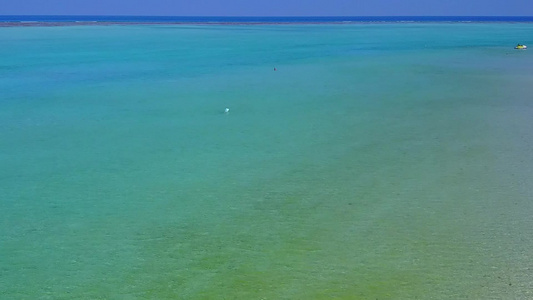 海洋海景海滩野生动物的空中纹理由干净的沙质背景的蓝水视频