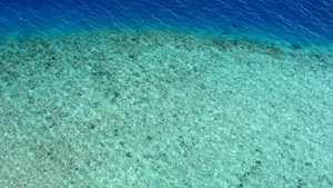 以蓝海和白沙为背景的海滩之旅观察天堂岛屿海滩的海洋11秒视频