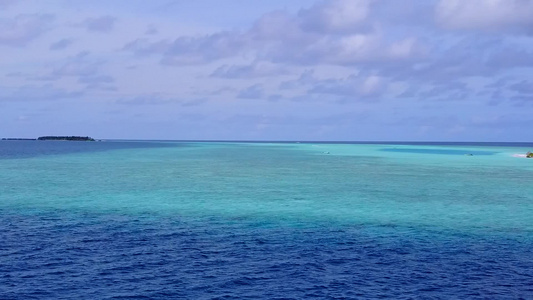 透明海白沙背景下异国情调海滨海滩野生动物的空中无人机视频