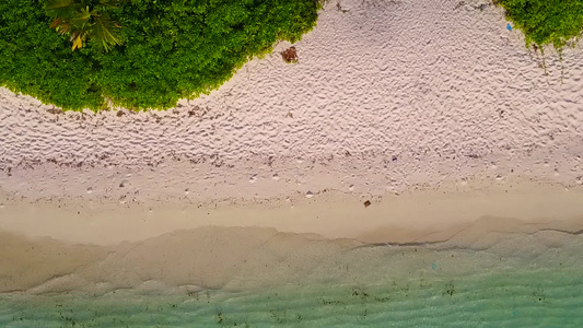 通过透明的有白色沙子背景的海洋对热带海岸海滩野生生物视频