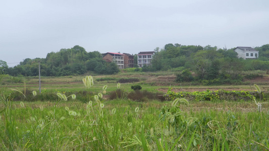 中国农村田园风景视频