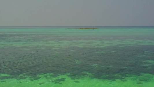 白沙背景蓝海海岸海滩野生动物空中无人机全景视频