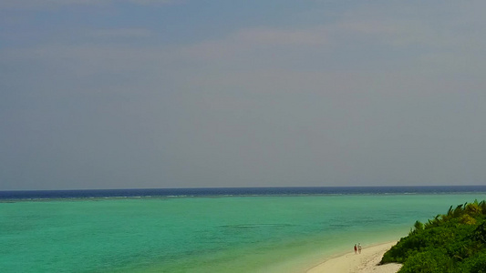 白沙背景清澈的海洋海岸海滩野生动物空中海景视频