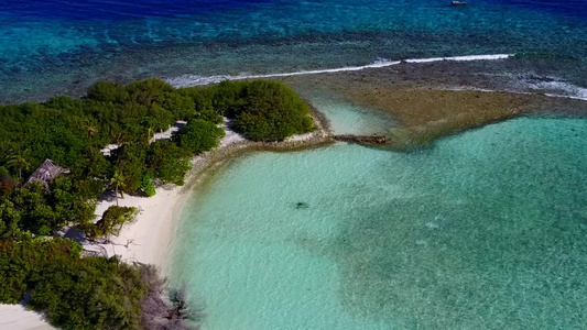 热带环礁湖海滩野生生物由绿绿水和白沙背景绘制的风景视频