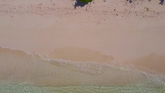 通过蓝绿水和清洁沙滩背景放松旅游海滩野生生物的空中视频