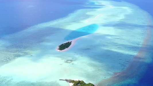 白沙背景浅海的完美海岸海滩野生生物的无人驾驶飞机场景视频