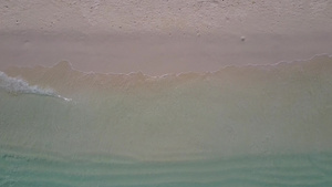 浅海和白色沙滩背景的海洋海滩野生生物的天性性质11秒视频