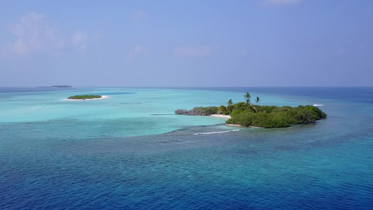 以蓝海和清洁沙地背景观察海滩野生生物的天堂海洋结构视频