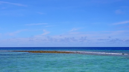 蓝绿海白沙背景下放松旅游海滩野生动物的无人机空中质感视频