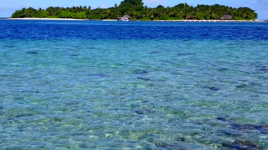 通过蓝海和清洁沙土背景的蓝海观测热带海岸海滩野生生物视频