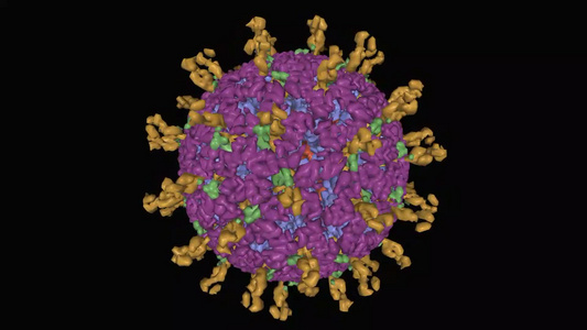 人类轮状病毒病毒粒子的动画原子视频